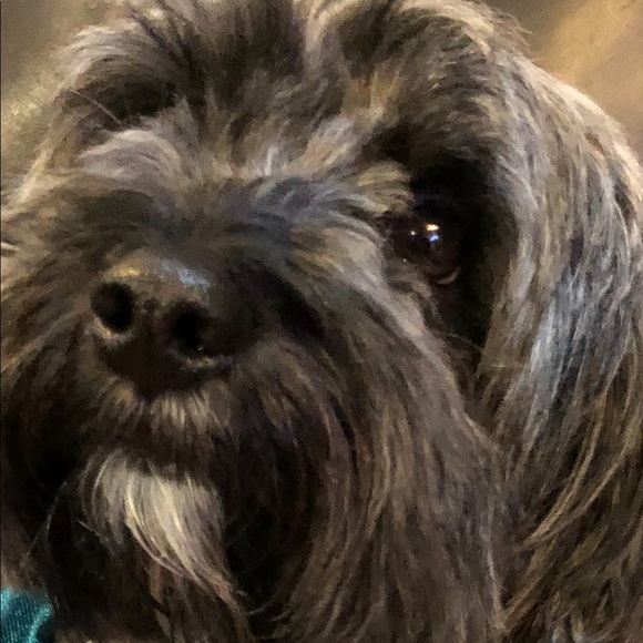 Meet your Posher, Shaunda - Picture 1 of 1